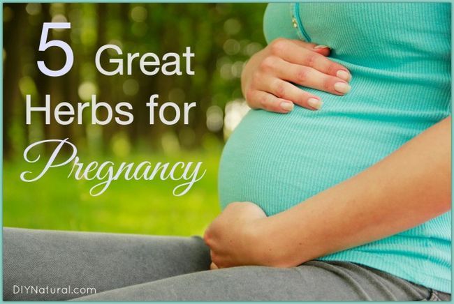 Cinq grandes herbes à utiliser si vous êtes enceinte