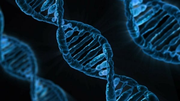 Une nouvelle étude révèle analyses génétiques peuvent produire des résultats précis où qu'ils sont effectués.