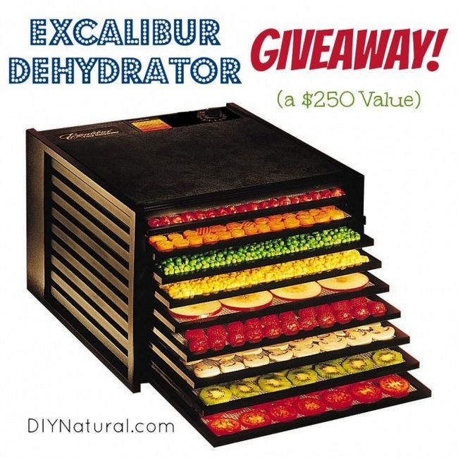 Giveaway: excalibur déshydrateur (valeur de 250 $)