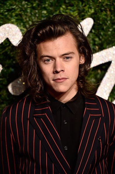 Harry Styles aux British Fashion Awards 2014.