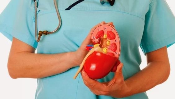 Accueil recours pour infection rénale Naturellement