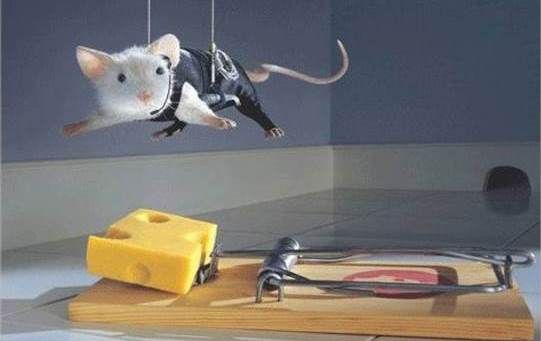 Comment obtenir une souris hors de la maison