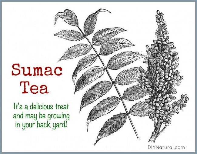 Sumac Tea Limonade
