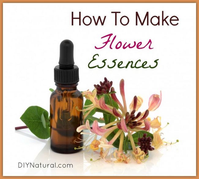 Comment faire Fleur Essenses