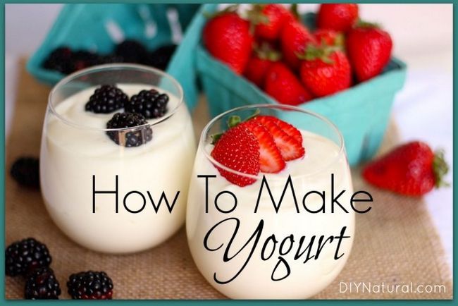 Comment faire du yaourt
