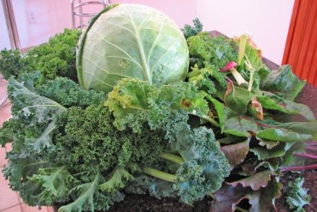 Comment utiliser vos légumes verts du jardin