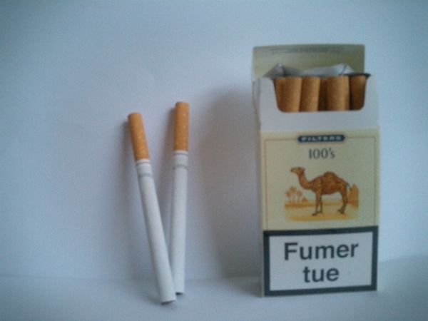 paquet de cigarettes de chameau
