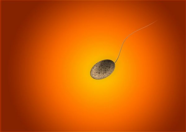 Il ya deux ans, un homme est mort en essayant de faire son quatrième don de sperme.