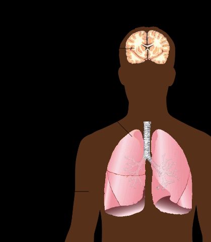 Les principaux symptômes de la tuberculose pulmonaire, comme décrit dans le Wikipedia: l'article tuberculose.