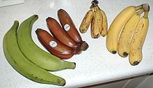 Laxatifs naturels qui peuvent aider à lutter constipation sans l'utilisation de médicaments: bananes, pommes, melons