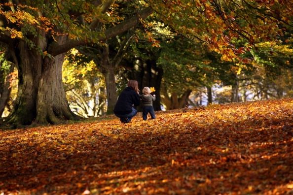 Spectaculaire Couleurs d'automne sont observés après températures douces Plus ...