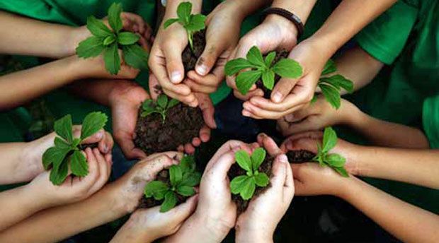 Besoin d'éducation environnementale pour les enfants de l'école: 7 raisons importantes