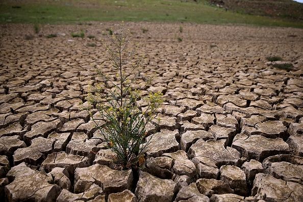 La grave sécheresse en Californie est blâmé pour un nombre record de décès dus au virus du Nil occidental