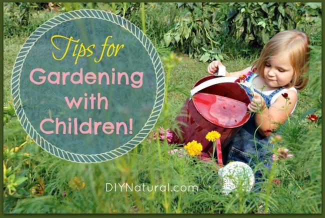 Sept conseils pour les enfants impliqués dans le jardin