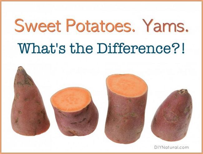 Les pommes de terre douces et les ignames, est-il une différence?