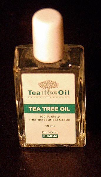 arbre à thé bouteille d'huile