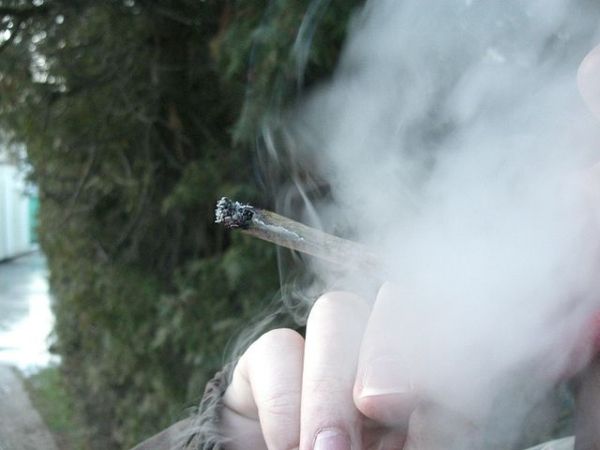 Brûler conjointe avec la fumée, République tchèque