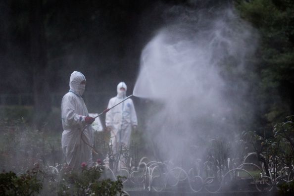 Le Japon fait face à d'abord fièvre dengue Case En près de 70 ans