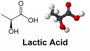 acide lactique