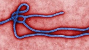 10-Essential-Faits-About-Ebola-722x406