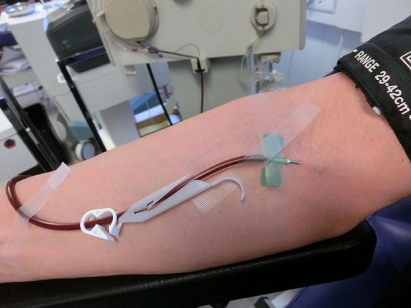 don de plasma sanguin