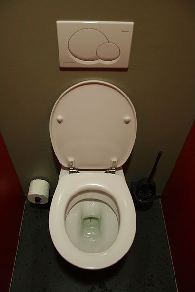 Tv show révèle comment éviter les germes lors de l'utilisation de la toilette