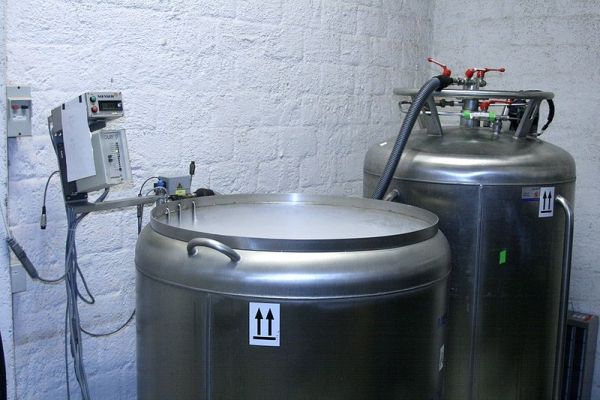 Récipient de cryoconservation Ouvrir connecté avec un réservoir plein de l'azote liquide pour l'alimentation automatique de l'azote liquide. La température du récipient est surveillé par un programme informatique.