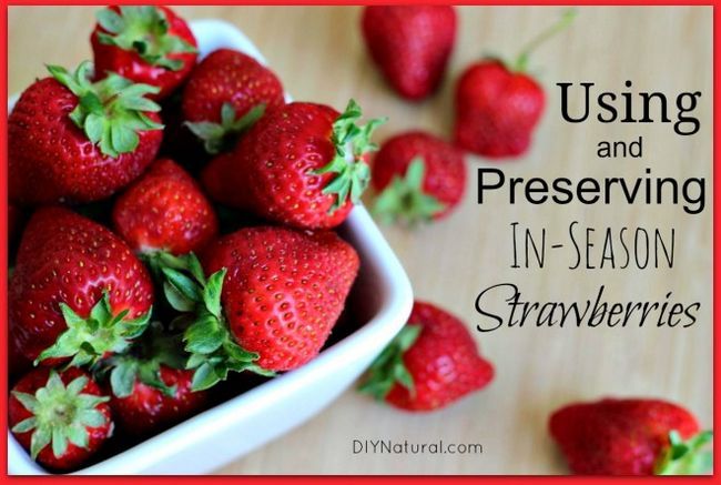 Utilisation et la conservation des fraises de saison