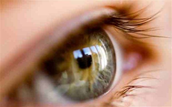 Les cellules épithéliales de la rétine cultivées à partir de cellules souches embryonnaires ont été capables de restaurer la vision chez les patients qui étaient légalement aveugle.