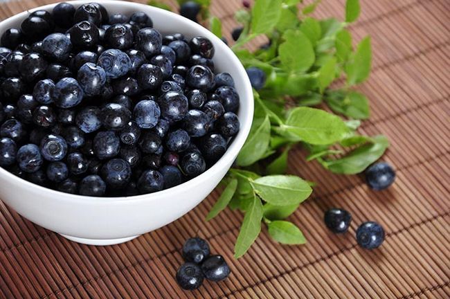 Les bleuets sont des fruits