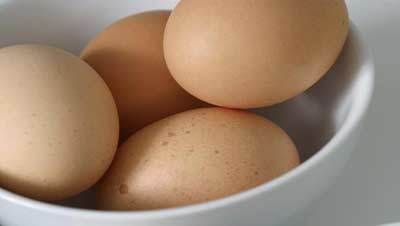 œufs meilleurs conditionneurs