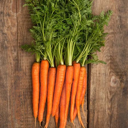 betteraves et les carottes