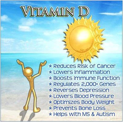 vitamine D des aliments riches