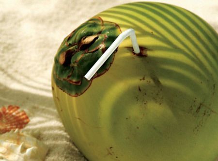 noix de coco verte