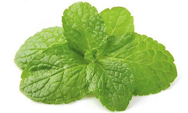 menthe