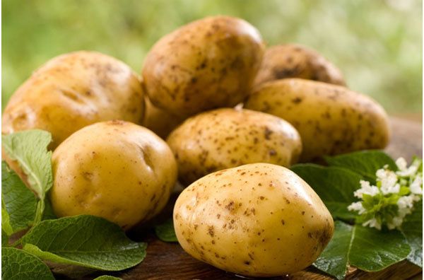 Patates
