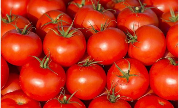 avantages de la peau de tomate