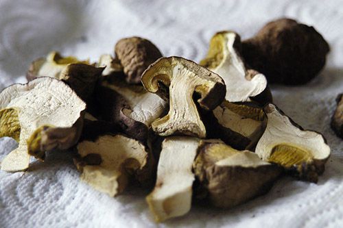 5 choses que vous pouvez faire avec Home Grown Champignons (autres que les manger)