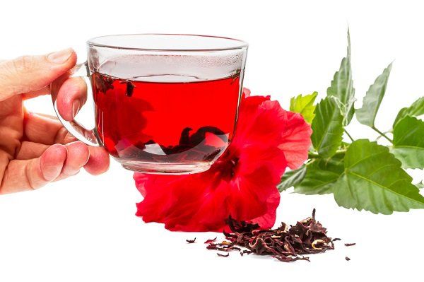 Coupe d'hibiscus de thé chaud