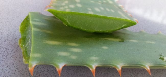 Meilleures gels d'Aloe Vera disponible en Inde