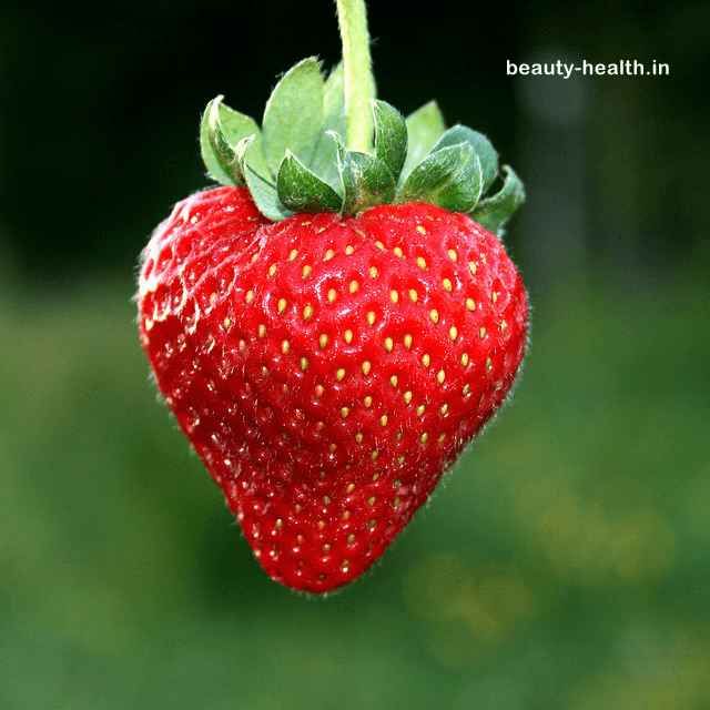 strawberrytips