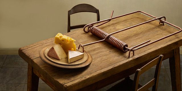 Souris-Trap-fromage