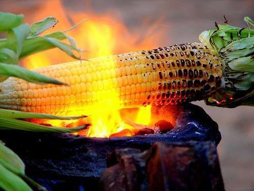 alimentaire de la mousson