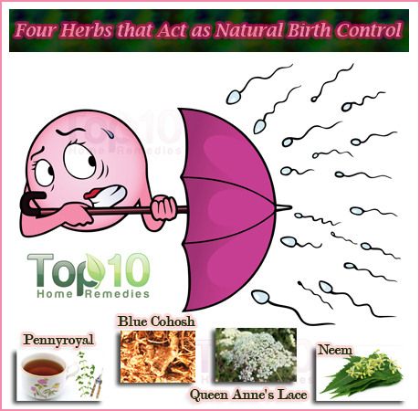 herbes de contrôle des naissances naturelles