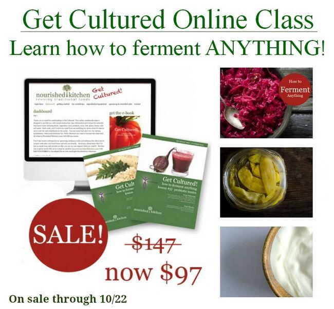 Obtenez culture! Une classe en ligne qui va vous apprendre comment faire fermenter rien