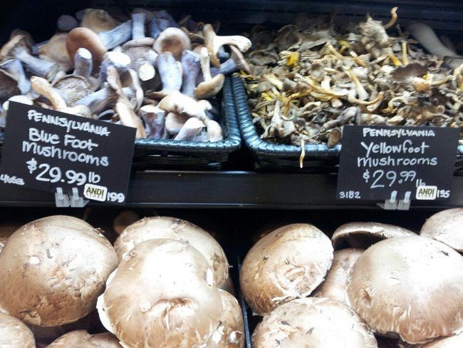 comment faire pousser des champignons à la maison