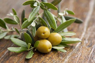 olives feuilles