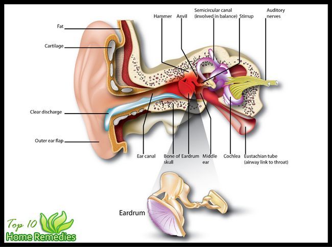 infection de l'oreille