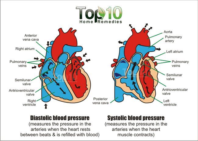 l'hypertension artérielle systolique de la pression diastolique