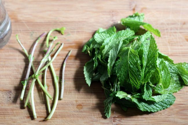 Mint Extrait Recette - Extrait de menthe Recette - Ohhh, je'm going to add a minty twist to my favorite brownies, chocolate pudding, ice cream, hot chocolate or tea! This two-ingredient mint extract recipe looks so easy.